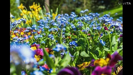 Takbeerat اللہ اکبر اللہ اکبر لا الہ الا اللہ واللہ اکبر