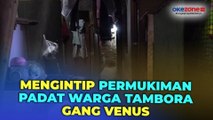 Kisah Permukiman Padat Warga Tambora Gang Venus yang Tak Tersentuh Sinar Matahari