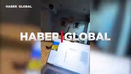 Kedilerin birbirlerine karşı verdikleri kıyasıya mücadelesi: Yetenek şov seyrettirdiler