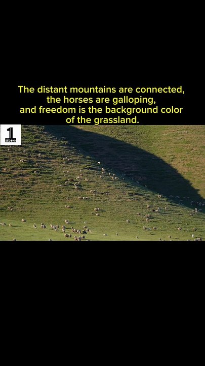 The distant mountains are connected, the horses are galloping, and freedom is the background color of the grassland. #Photography #MyPhotographyDiary #BeautifulGrasslandSceneryInfinite #FujiCamera #DJI