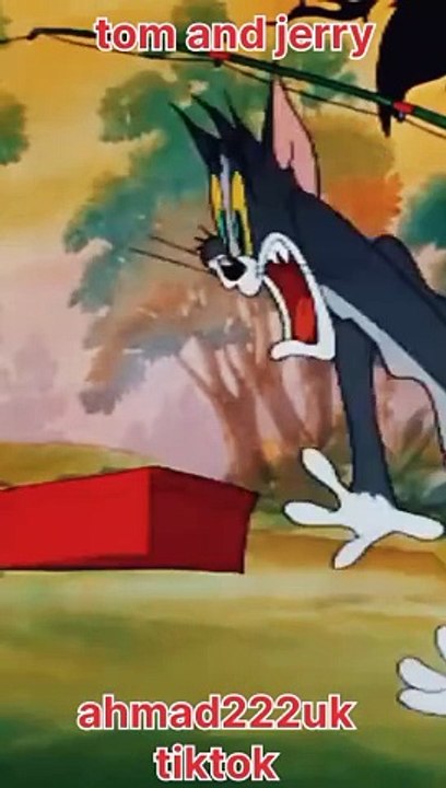 tom and jerry