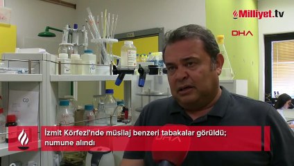 Marmara'da müsilaj paniği! Numuneler TÜBİTAK’a gönderildi