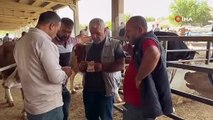 Diyarbakır'da son pazarlıklar yapılıyor - Tigris Haber