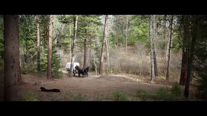 Thine Ears Shall Bleed Movie