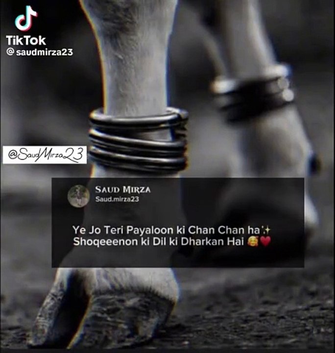 8523b7352518aa66d3eba148a011b9d4