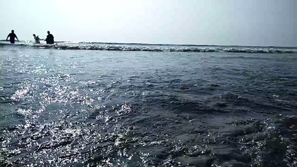 Sea life#shorts #viral #trending #foryou #tiktok #delicious #gaming #reels#dailymotion #France #Pakistan #Algeria #India #USA #Iran #entertainment #tour #fun