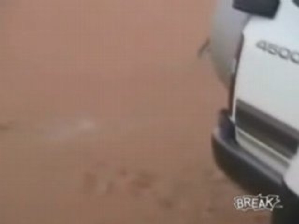 Hawk Cant Catch Rabbit