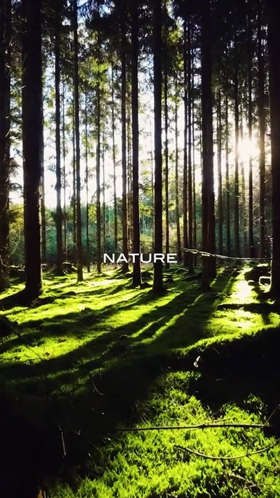 Monotheme Rouge Unisex Fragrance - EDP Spray | EDT Perfume for Men and Women