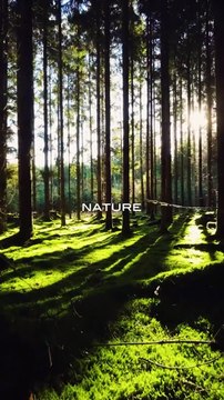 Monotheme Rouge Unisex Fragrance - EDP Spray | EDT Perfume for Men and Women