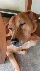 Bundy's sneaky sleep?