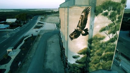 Karoonda Silo Art by Heesco | Drone Flyover 🇦🇺