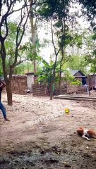 Funny  comedy scenes short video viral reels