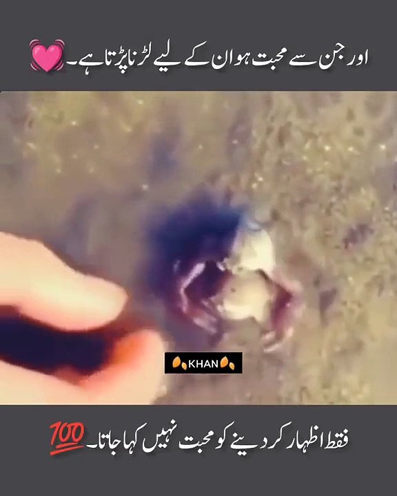 Real love