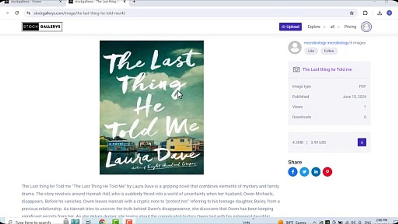 The Last Thing He Told Me by Laura Dave