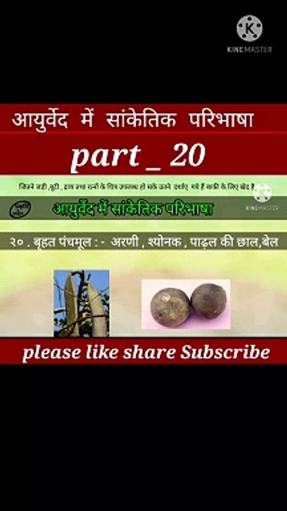 Aayurved me sanketik paribhasha part 20 | aayurveda | आयुर्वेद | आयुर्वेदिक दवाइयां
