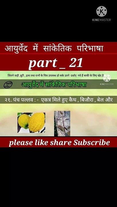 Aayurved me sanketik paribhasha part 21 | aayurveda | आयुर्वेदिक दवाइयां | घर का वैद्य | घरेलू नुस्खे