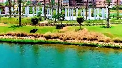بالمسطحات الخضراء والمسارات الرياضية.. شاهد المدن المستدامة والمرنة في مصر