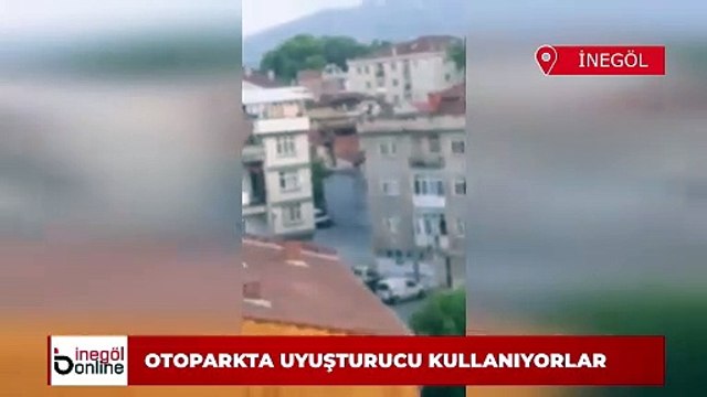 Mahalle sakinlerinin korkulu rüyası oldular