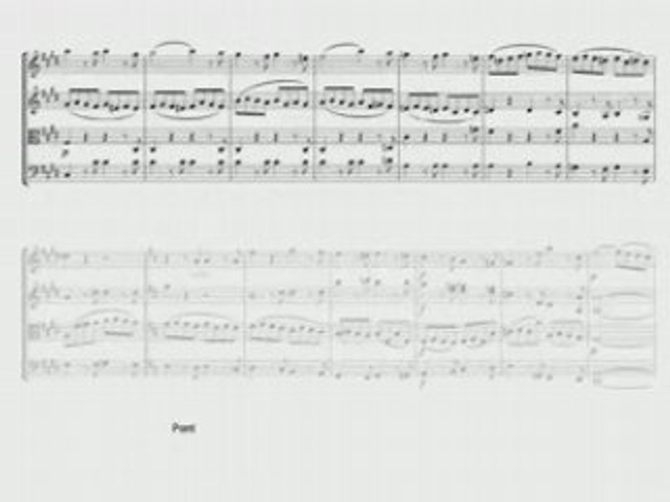 Beethoven - Quatuor n°14 - Film_partition_diotima