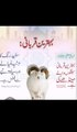 بہترین قربانی | islamic video in Urdu | islamic video