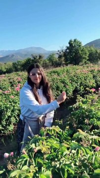 trending,trending now,shorts trending,#trending,trending remix,trending sound,trending ridham,tiktok trending,trending shorts,top trending shorts,spotify trending songs,spotify trending playlist,trending spotify p