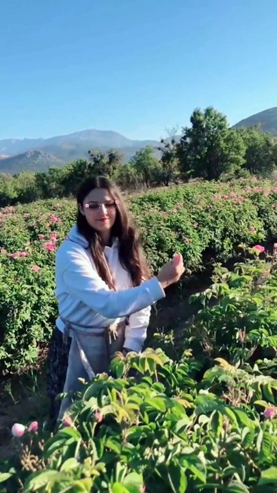 trending,trending now,shorts trending,#trending,trending remix,trending sound,trending ridham,tiktok trending,trending shorts,top trending shorts,spotify trending songs,spotify trending playlist,trending spotify p