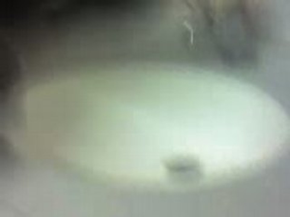 LE ROBiiNEY XD
