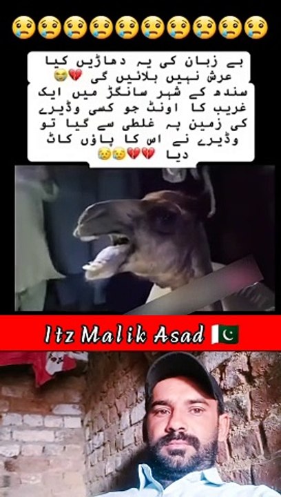 ظلم کی انتہا افسوس مسلمان افسوس