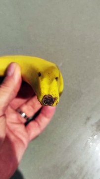 Seeing Faces in Everyday Objects - Part 47 #pareidolia #shorts #illusion