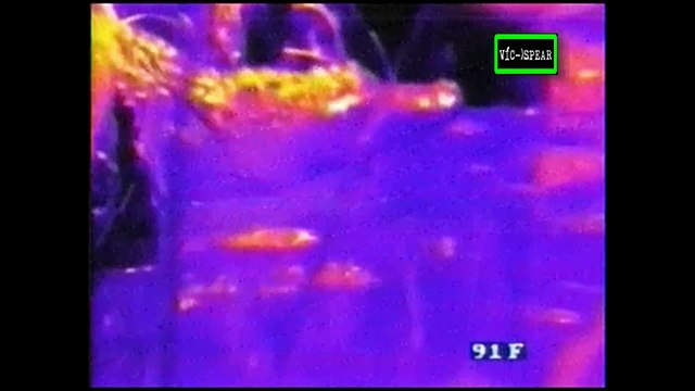 Los Secretos del Sol - Documental (1999) - Español Latino