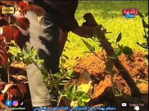 أقوى كاميرا خفية بالمغرب : رشيد العلالي مطلعها على واحد سيد فلڤيلا Rachid Allali Tkbar Watnsa HD