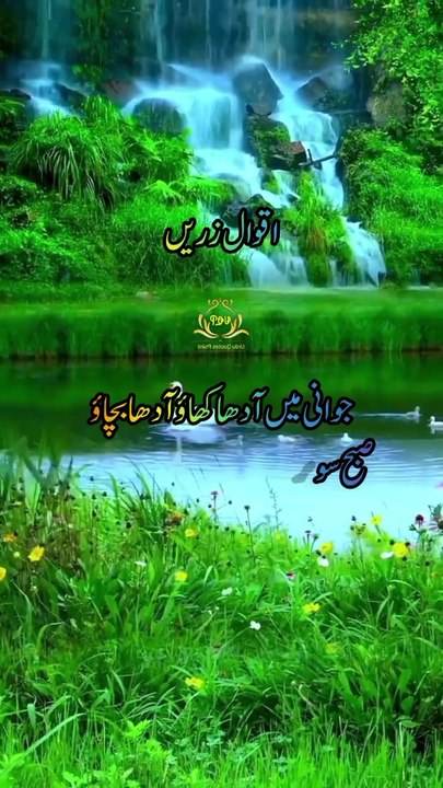 Urdu Motivational quotes | All Type Motivational & islamic Quotes