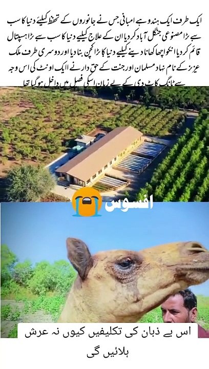 Afssos