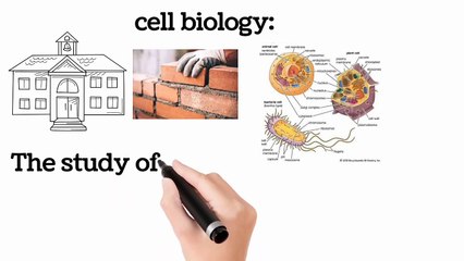 Branches of Biology