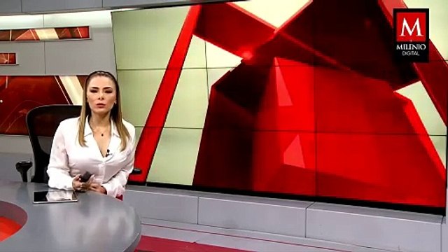 Reforma al Poder Judicial es apoyada por Consejo Nacional de Morena