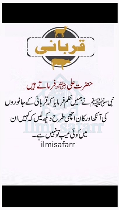 حضرت علی علیہ السّلام نے فرمایا | islamic video in Urdu
