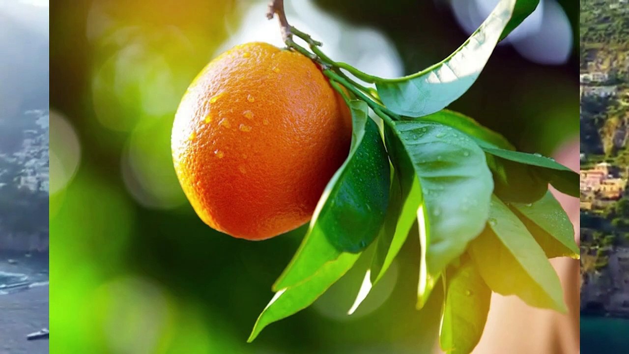 What has Italy become today_ and how to restart its economy.