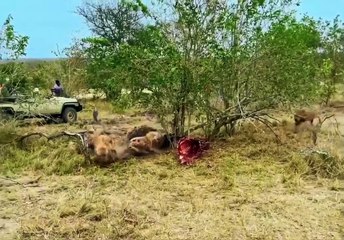 What lesson did you learn from this.