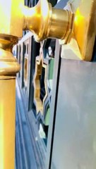 Main gada ay mustafa hon...