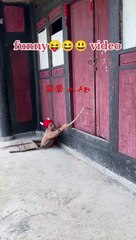 Khooon Kharaaba #shorts #india #youtubeshorts