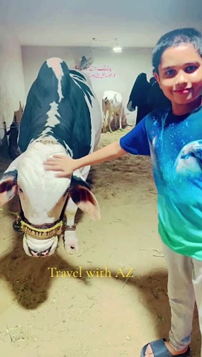Pyara Janwar | Qurbani 2024