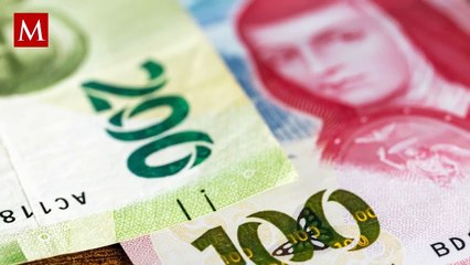 El nuevo programa social que propuso Sheinbaum, tendría como beneficiados a estos sectores