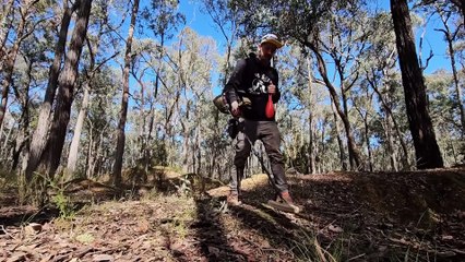 How to Recover Gold Metal Detecting