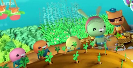 The Octonauts The Octonauts S01 E035 – The Baby Dolphin
