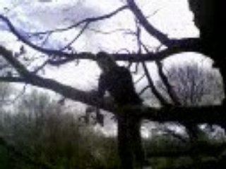 L'homme singe part 3