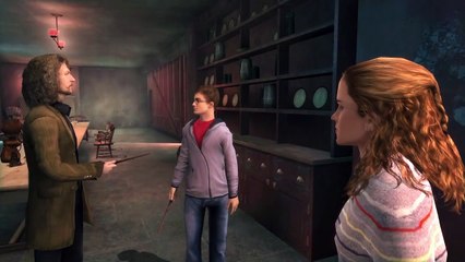 Harry Potter and the Order of the Phoenix online multiplayer - ps3