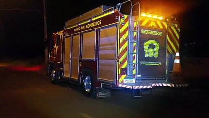 Hoje a "sogra" saiu mais cedo! Jararaca é capturada pelo Corpo de Bombeiros