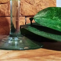 -ANDRÉS DE JESÚS VÉLEZ FRANCO- PRACTICA EL TURISMO SUSTENTABLE (PARTE 2) (@AndresdeJesus90)