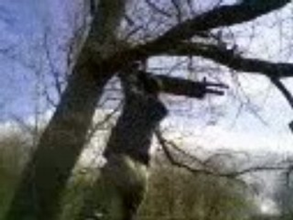 L'homme singe Part 1