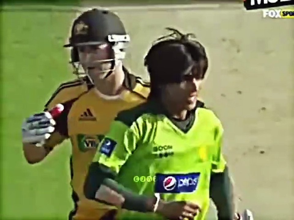 Old Muhammad Amir BOLDS